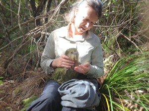 Jacqueline Beggs assists with the regular health check of one of the kākāpō on Whenua Hou. Photo: Darryl Eason