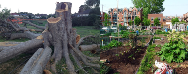 Urban ‘development’ in Auckland (left) contrasts with urban renewal in Detroit (right)