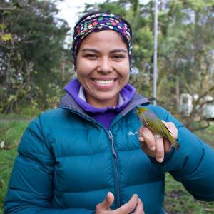 Getting to know New Zealand birds