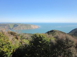 Discovering New Zealand