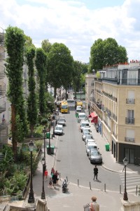 Maximising biodiversity in the streets of Paris