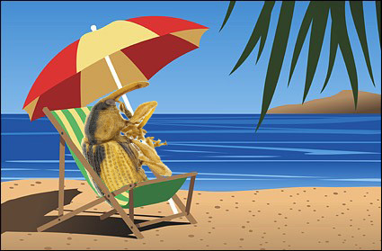 sunbathing weevil copy
