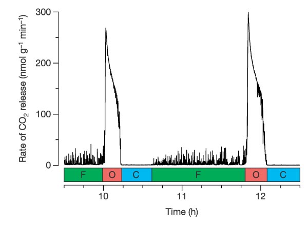 nature03106-f1-2-dgc
