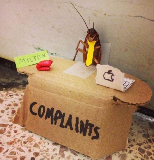 funny-pictures-humor-complaints-department-cockroach