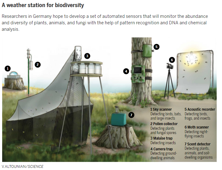 biodviersity weather station