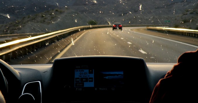 Bugs_Windshield