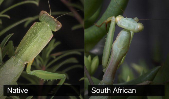 difference-small-1200x703