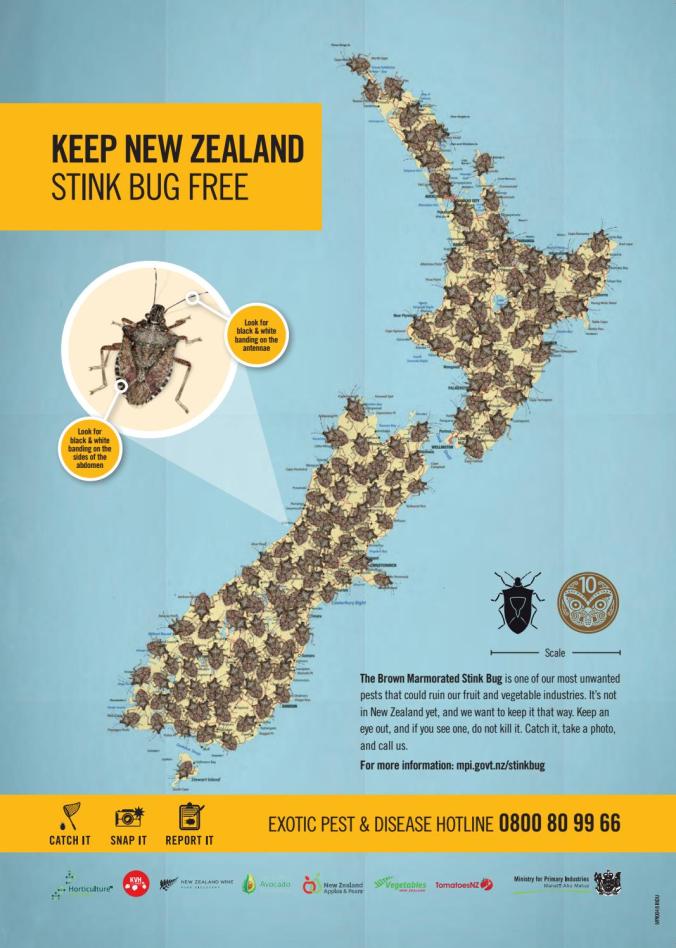 BMSB-poster-zealand 2